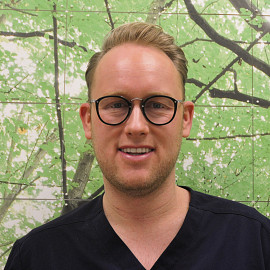 L. van Dam